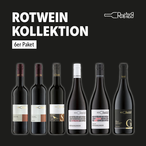 6er Rotwein Kollektion