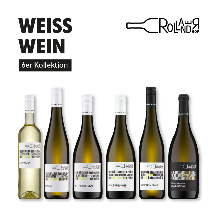 6er Weißwein Kollektion